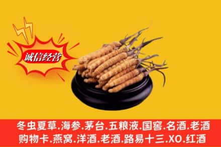 和田地区策勒县求购回收虫草多少钱每克
